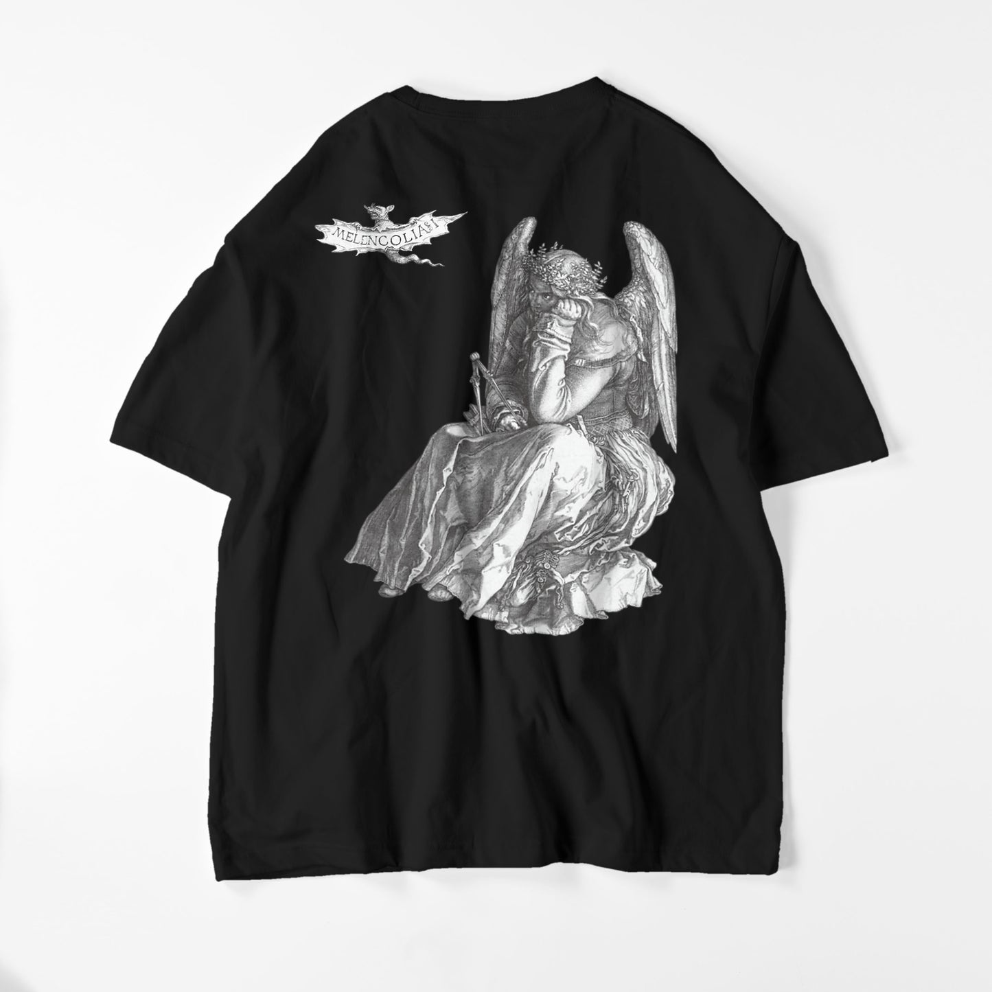 阿爾布雷希特·丟勒 - 設想