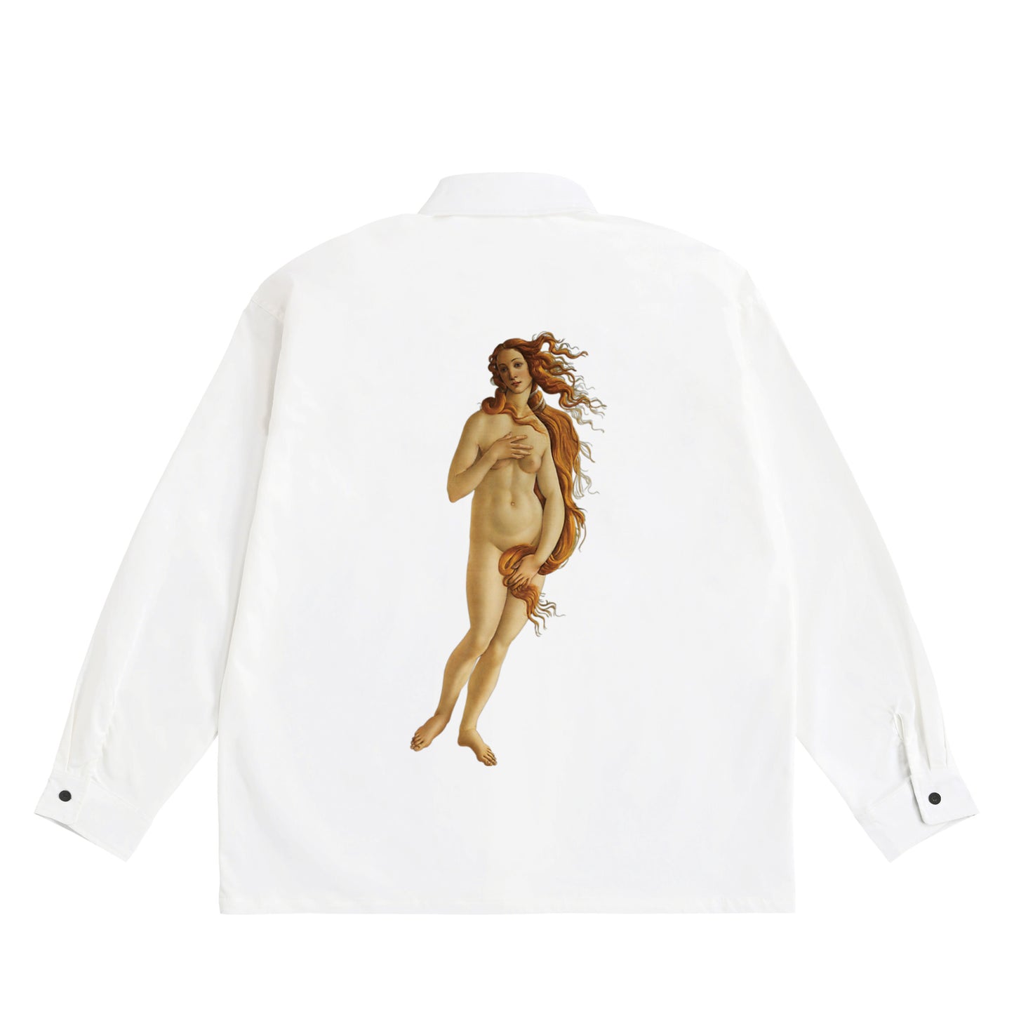 Sandro Botticelli - Bond white image