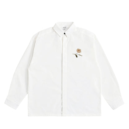 Sandro Botticelli - Bond white image