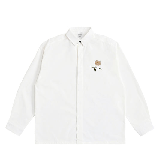 Sandro Botticelli - Bond white image