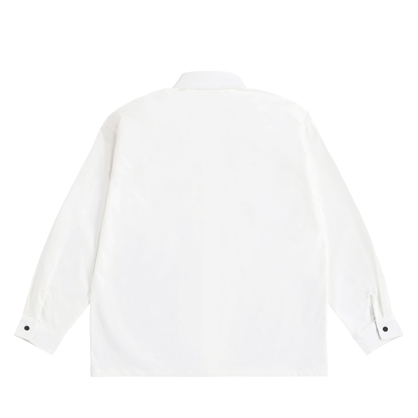 Alberto Durero - Imagen de Bond en blanco