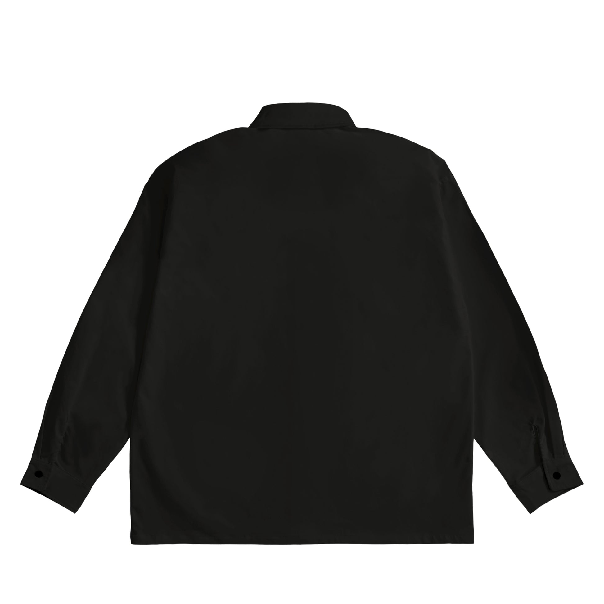 Albrecht Dürer - Bond black image