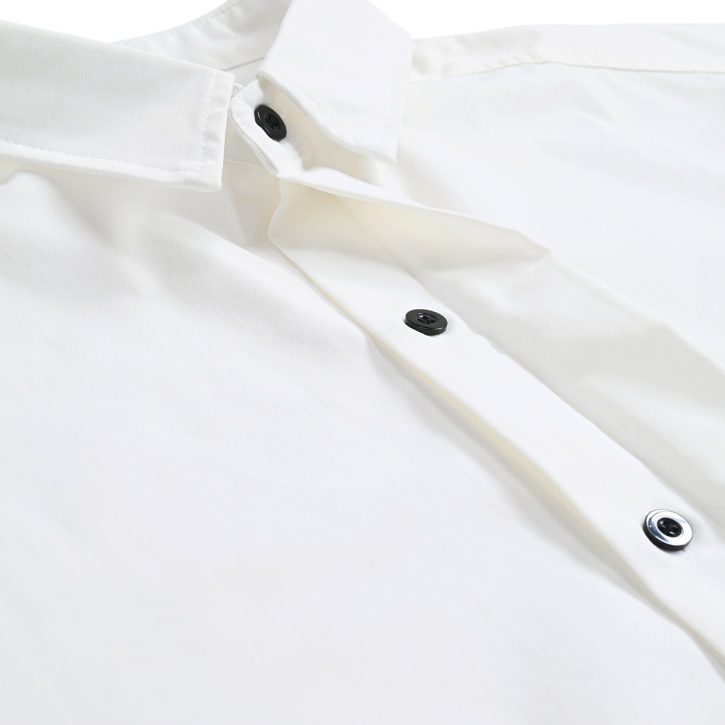 Ito Jakuchu - Bond white image