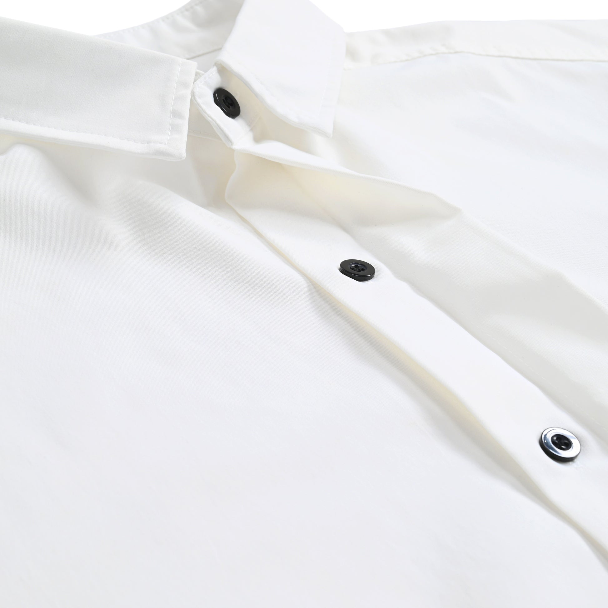 Ito Jakuchu - Bond white image