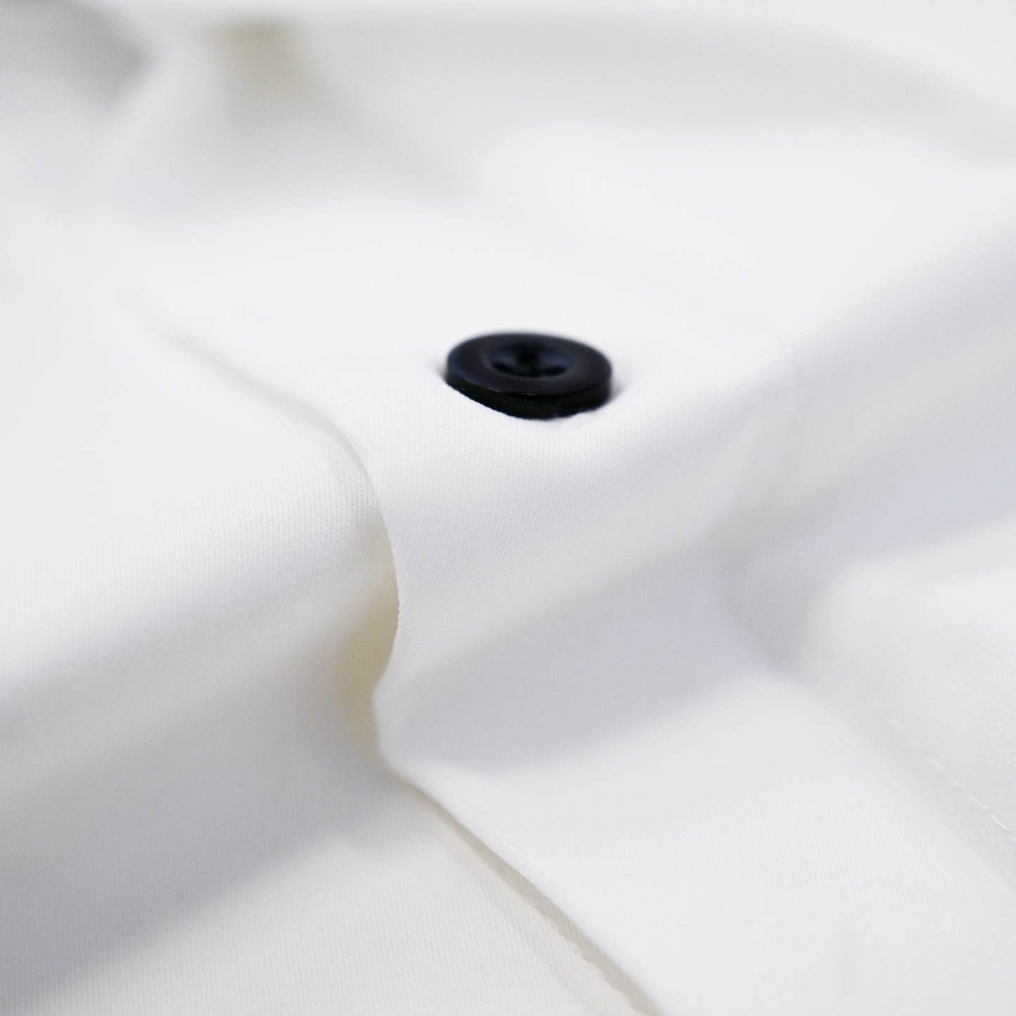 Ito Jakuchu - Bond white image