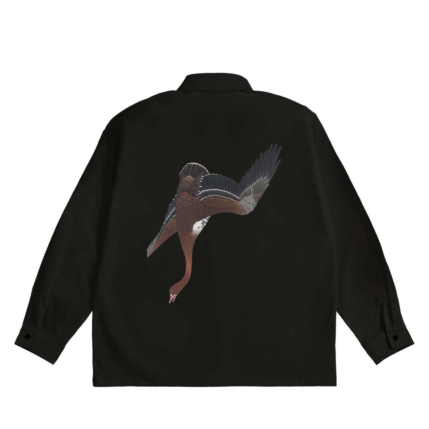 伊藤若衝 - 龐德黑像