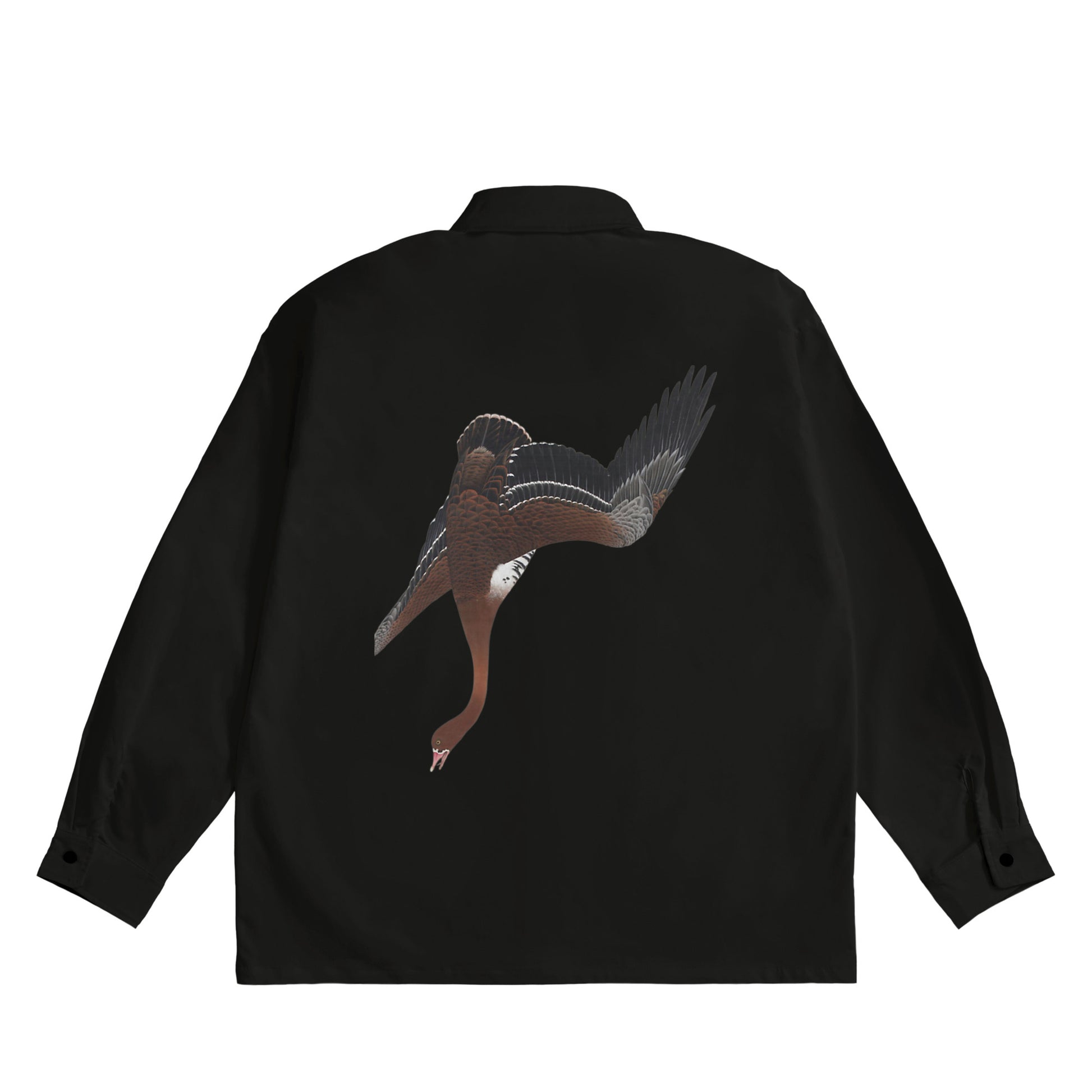 伊藤若衝 - 龐德黑像