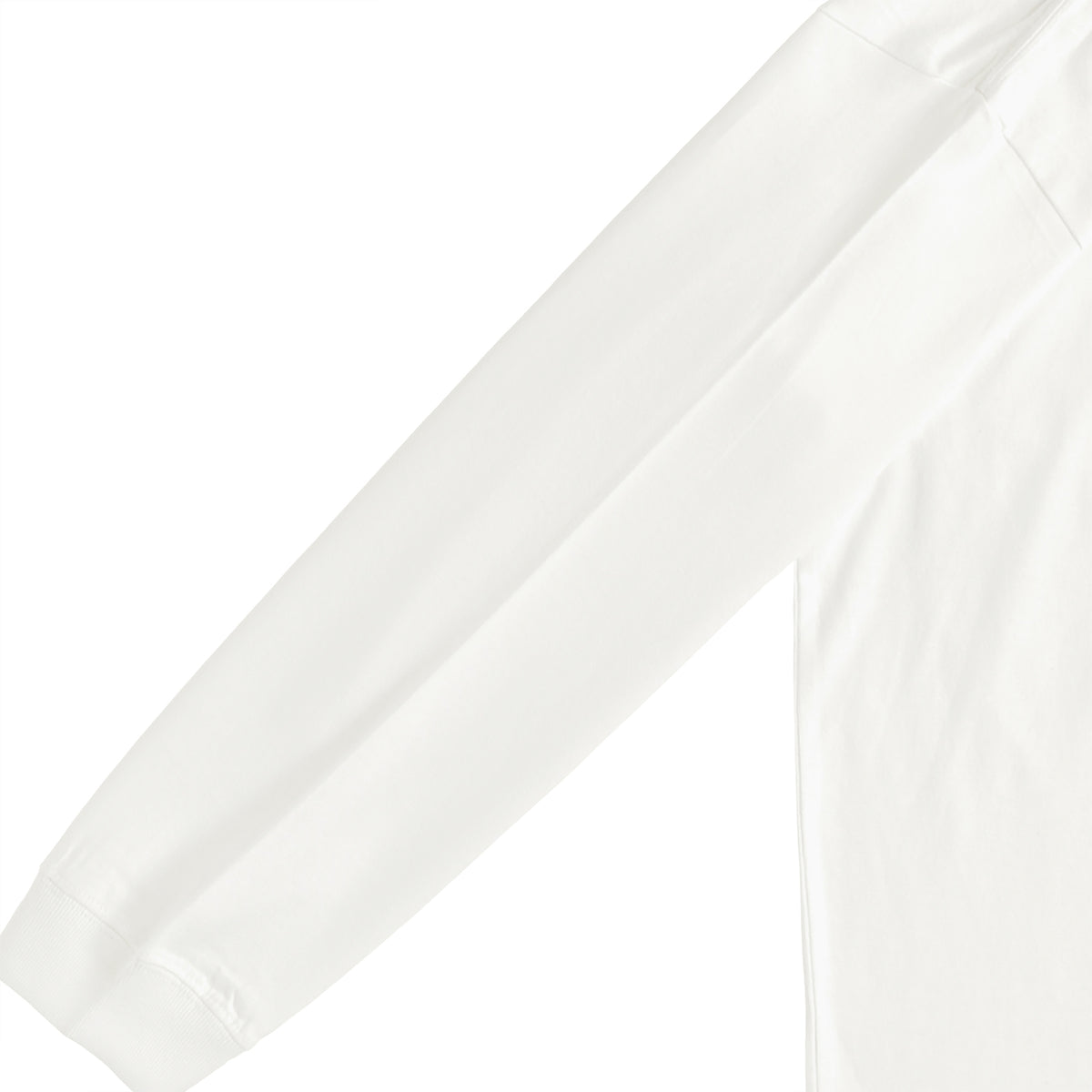 Ippocrate - Citazioni immagine bianca