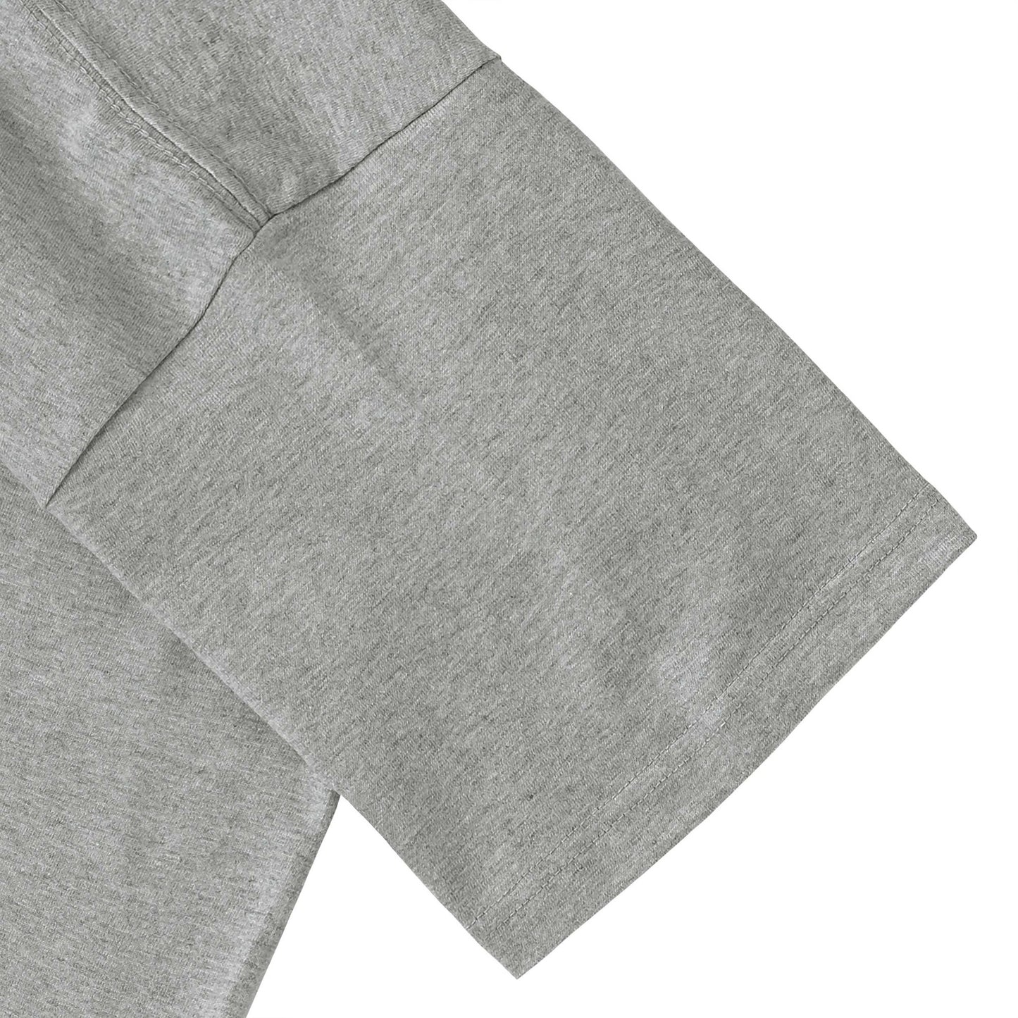 Kazimir Malevich - Cycle gray image